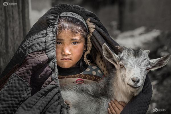 如何不透露信息舉報學(xué)校情況贛州_長期資金入市通道打開 4000點ETF如何應(yīng)對