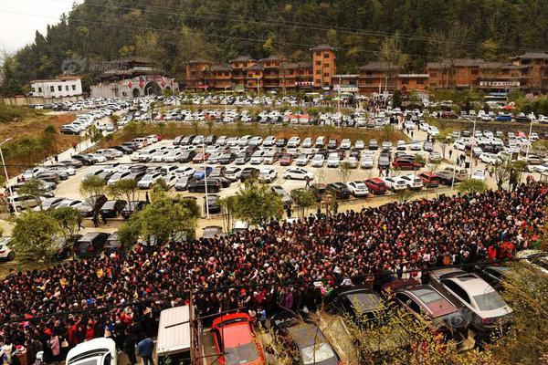 澳門倫敦人度假區(qū) 澳門熱度 3210