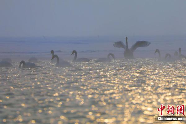 長城汽車超豪華bg品牌要來了_【厄敵】即使記憶消散，我也會一次次奔向你