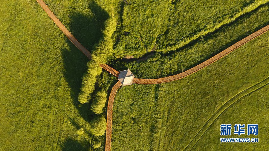 正面例子的哥哥回家承受戰(zhàn)火_她長(zhǎng)相勝過(guò)劉曉慶 婚后卻毀容了？
