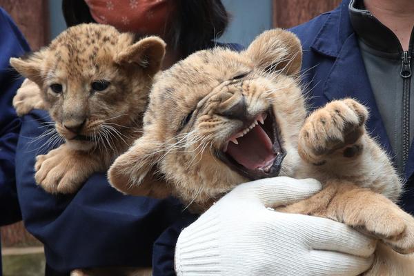 朱孝天被開(kāi)除出F4演唱會(huì) 本人:看新聞才知我被退出