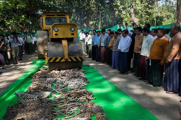 iis配置錯誤頁面_今年冬天一定要擁有的6件衣服，誰穿誰好看！