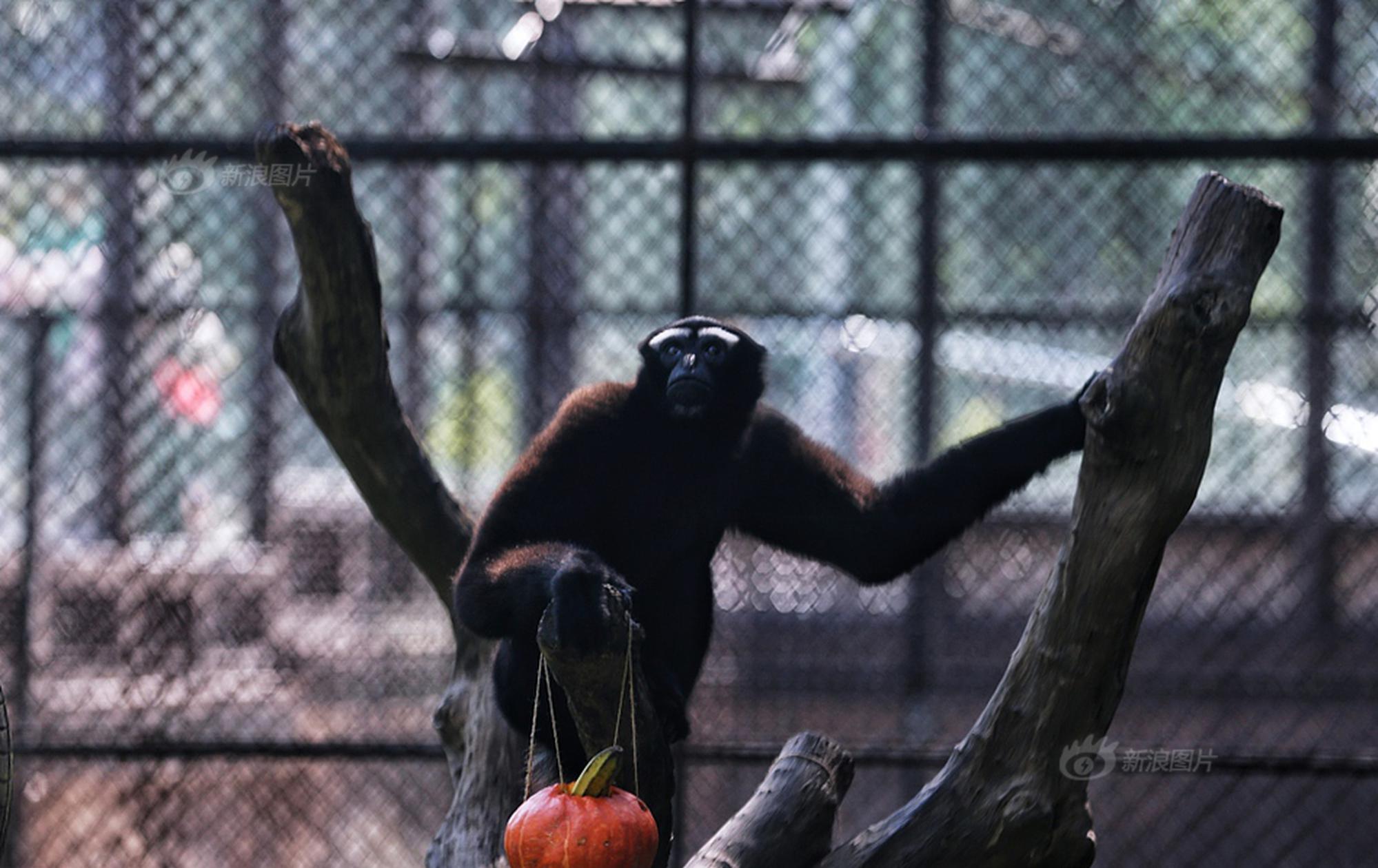 iis配置錯誤頁面_今年冬天一定要擁有的6件衣服，誰穿誰好看！