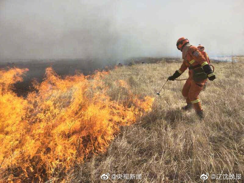 該給百天寶寶牙齒補(bǔ)充氟化物？
