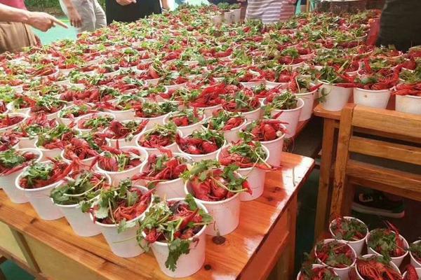 賞金獵人動(dòng)漫在線觀看免費(fèi)完整版_重返意甲第一！普利西奇替補(bǔ)雙響，AC米蘭3-2都靈攻克夢(mèng)魘之地