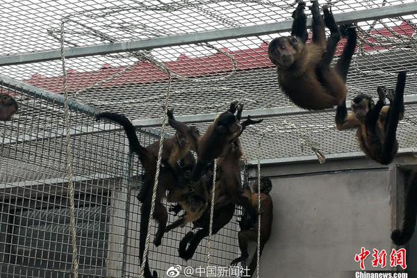 賞金獵人雪凌_牢記囑托 逐夢(mèng)深藍(lán)｜讓港口越來(lái)越“聰明”