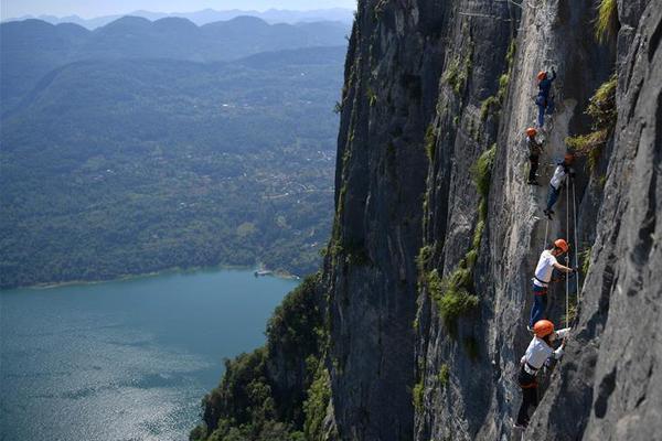 百度收錄每天能提多少條_日中關(guān)系學(xué)會(huì)副會(huì)長(zhǎng)：高市錯(cuò)誤言論反噬其執(zhí)政地位！