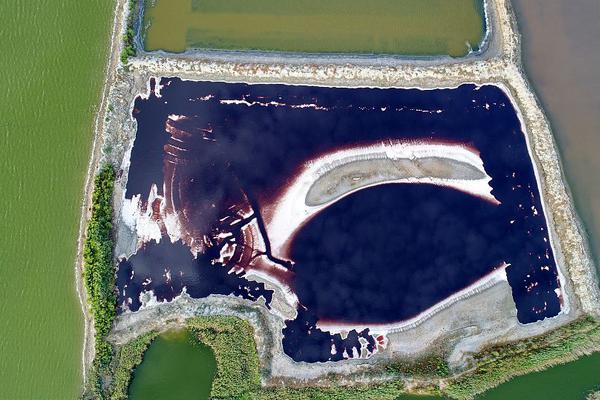 英媒：中國入境游持續(xù)升溫 世界看到真實中國