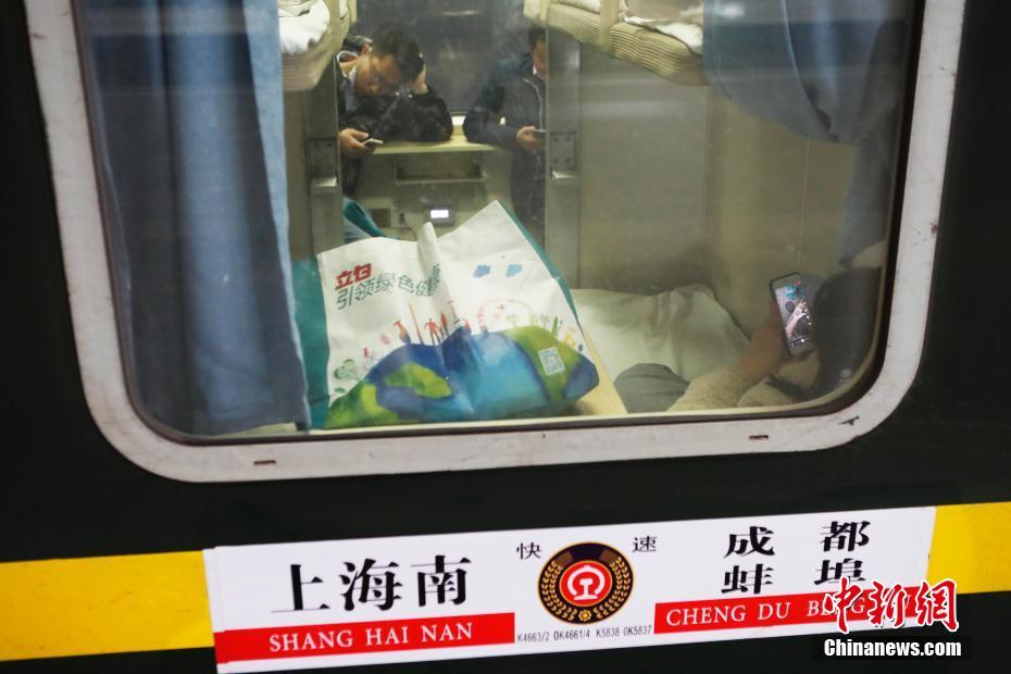 申報渠道互聯網web是什么意思_打工人夢想中的生活，寵物已經提前過上了