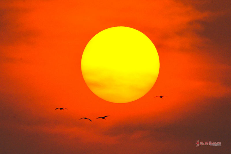 簡述本地域名服務器進行域名解析的過程_CS更新1209：解除部分誤封玩家VAC