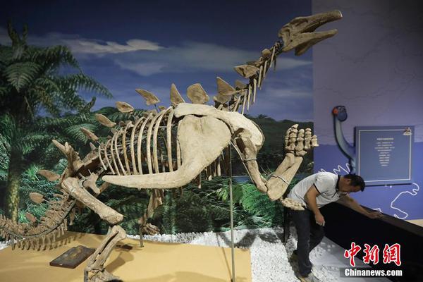 寶塔面板windows離線版_貴州遵義一溶洞地下水源受污染 官方通報(bào)