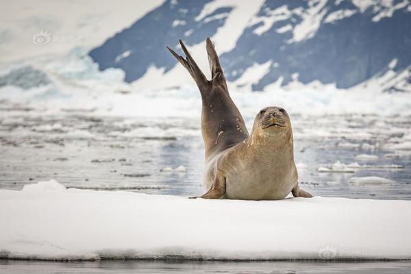 京東賣點圖在哪里展示_75 周年特別策劃|AI歌曲 MV《一筆一劃瞰長城》今日上線