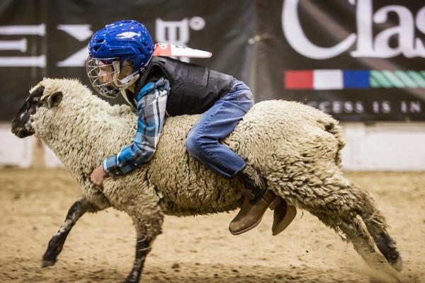 isis宣告默認路由_文化市場煥發(fā)蓬勃生機