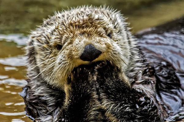 kingbase官網_拾光紀·“忘記歷史就意味著背叛，否認罪責就意味著重犯”