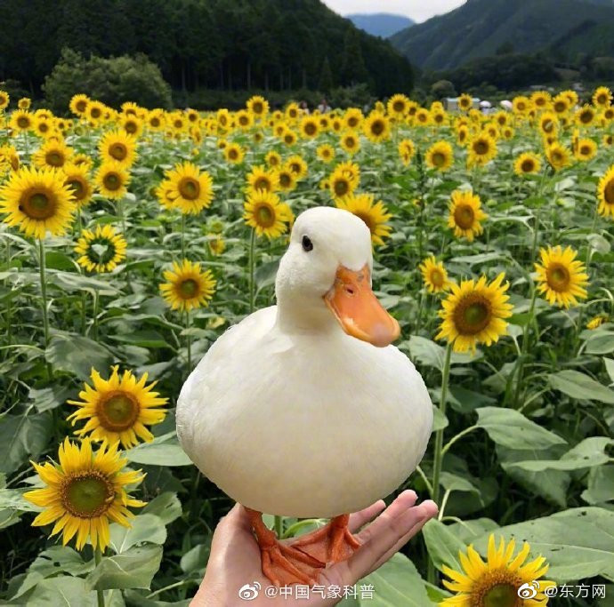 生產(chǎn)控制的漏斗模型圖_訊飛星火大模型升級發(fā)布