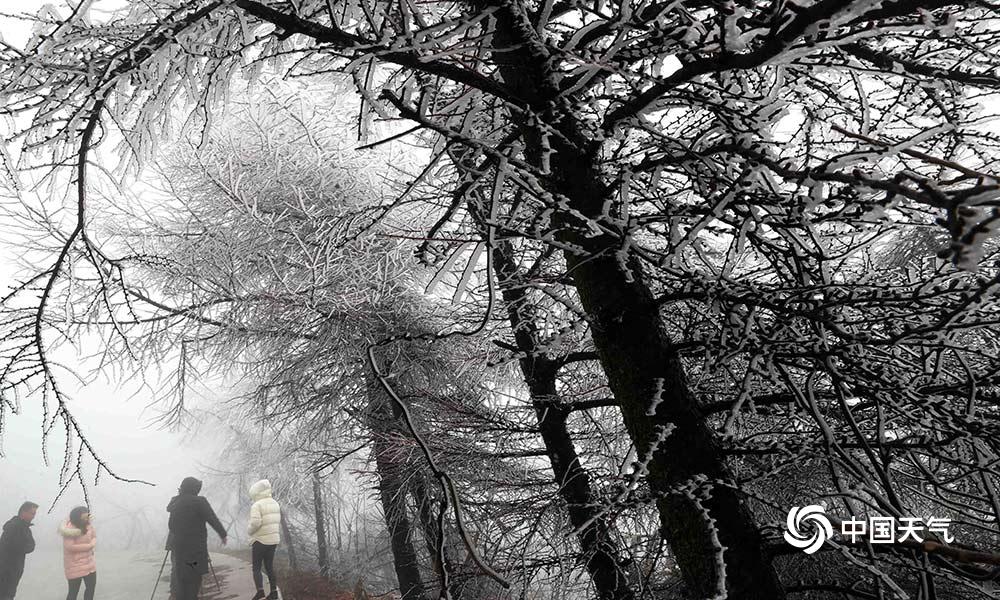 美國一小型飛機(jī)迫降公路 撞上一輛正在行駛的汽車