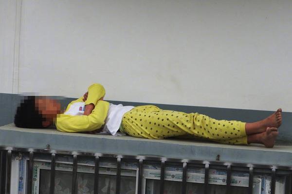 香港故事丨守護(hù)共同記憶——香港百歲古樹“扶正”記