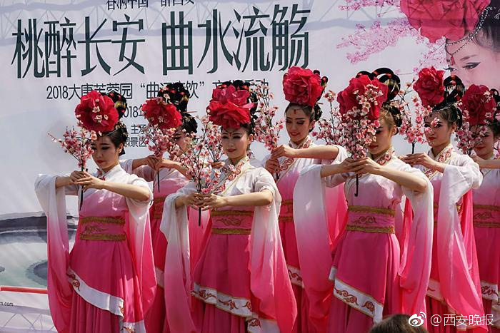 編程0基礎教學_只用10個月 歐洲號稱