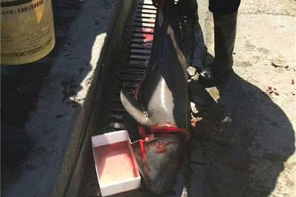 視頻監(jiān)控預(yù)警管理系統(tǒng)_三折疊巔峰對決 三星能否終結(jié)華為無盡的寂寞