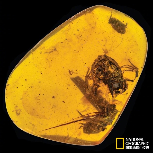 metasploit安裝教程windows_網(wǎng)易力薦-200門嚴(yán)選好課