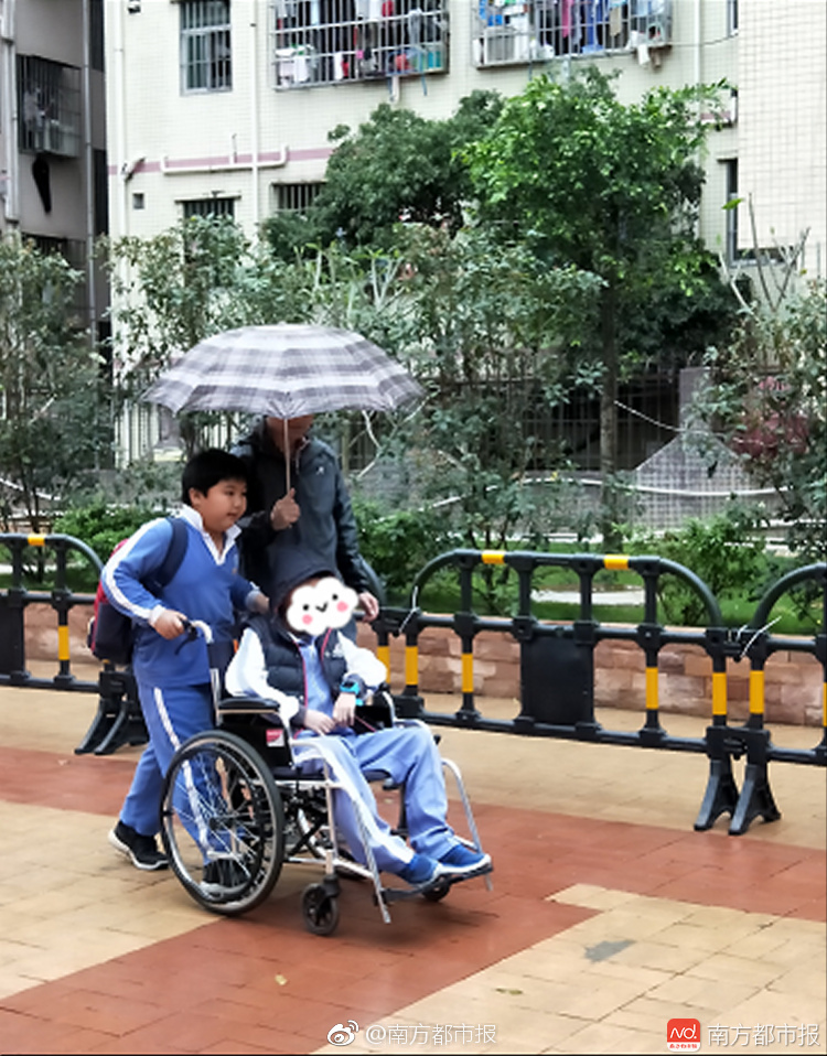 查詢地址ip_一圖讀懂 | “十四五”甘肅“三農(nóng)”工作成績(jī)單