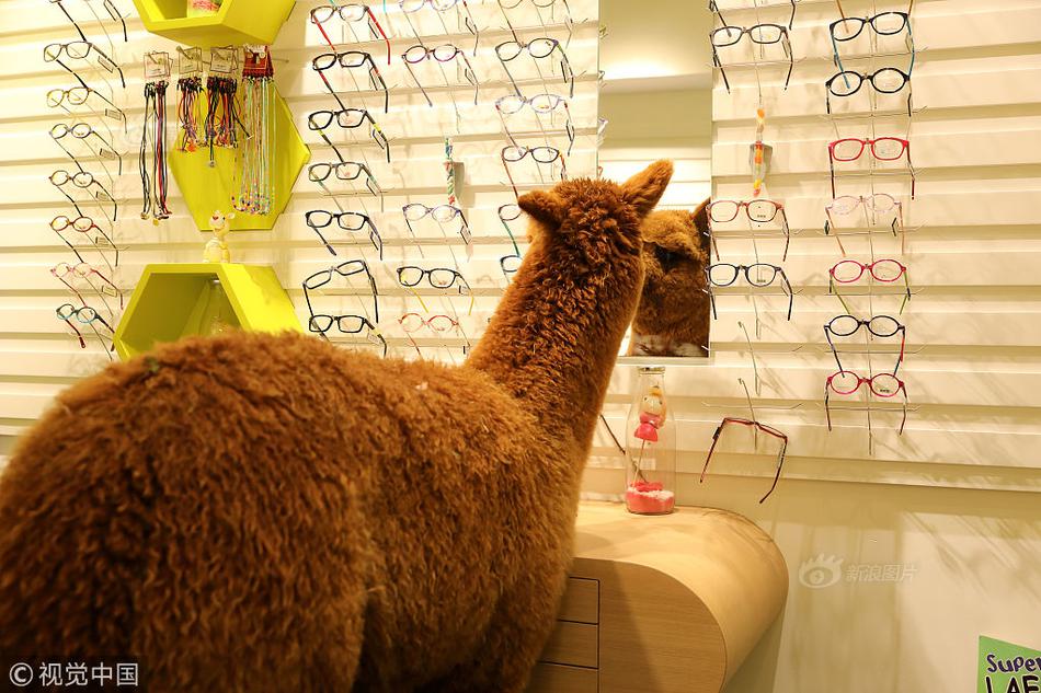 銀行存款控制中常見漏洞_媒體：手機漲價潮大概率要來了