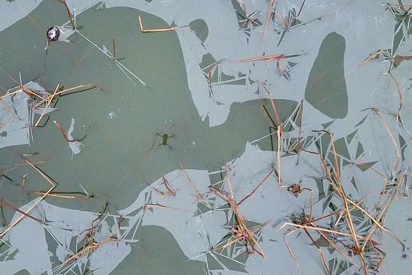 首發(fā)主播高清網(wǎng)站_BMW女子賽金世煐破五年冠軍荒