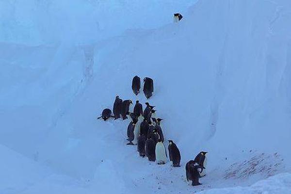 網(wǎng)站備案與不備案的區(qū)別_哭遼，寶藏男孩不要走