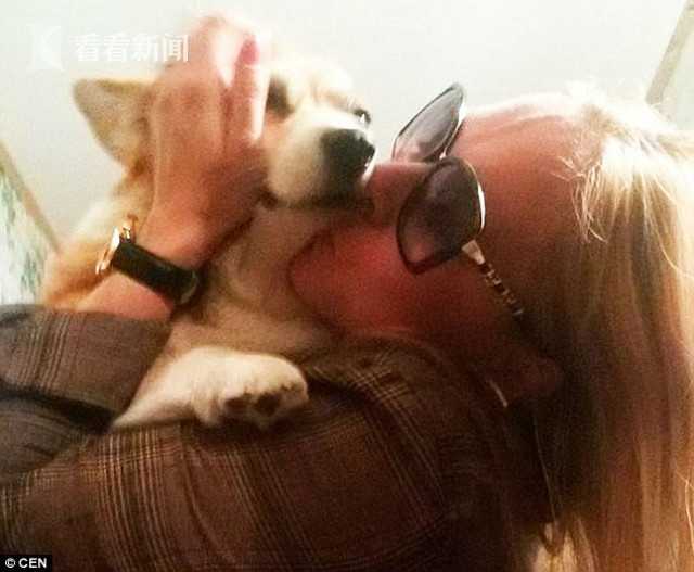 客戶流失預(yù)測(cè)數(shù)據(jù)集_12月9日滬深兩市漲停分析：安記食品6連板，龍洲股份