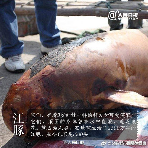 追光｜科技之光，點(diǎn)亮他們的“出彩人生路”