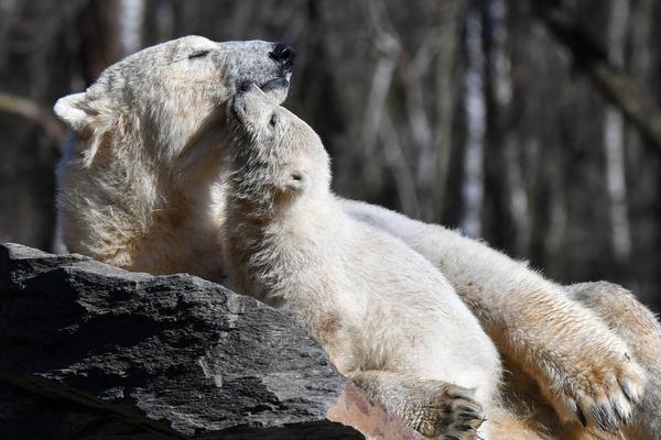openwrt官網固件_女生倒賣迪士尼門票套現700多萬 獲刑13年罰30萬