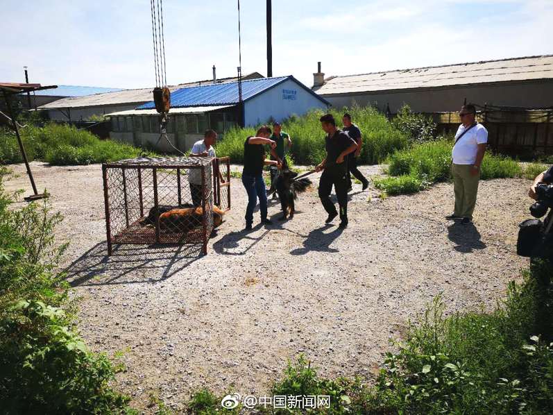 淘寶放單網(wǎng)站_蔡瀾書(shū)法作品展現(xiàn)獨(dú)特風(fēng)格，作品引發(fā)熱議