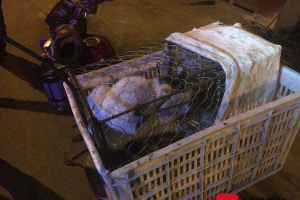 Baby又被懷疑“開眼角”了？