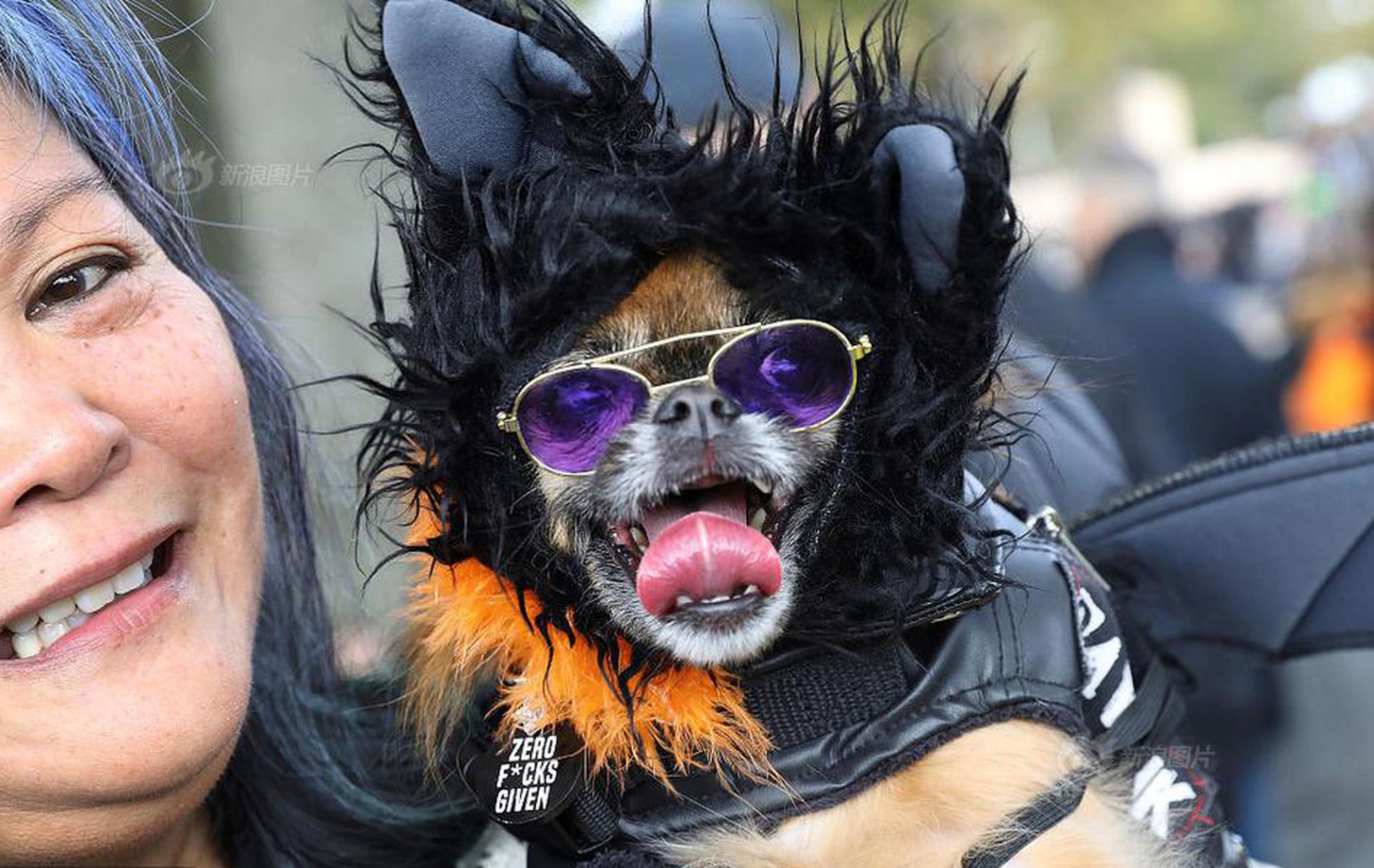 quidwaysvnclientexe下載_IDC：預(yù)計(jì)蘋果iPhone Fold明年拿下22%折疊屏份額！與三星、華為三分天下