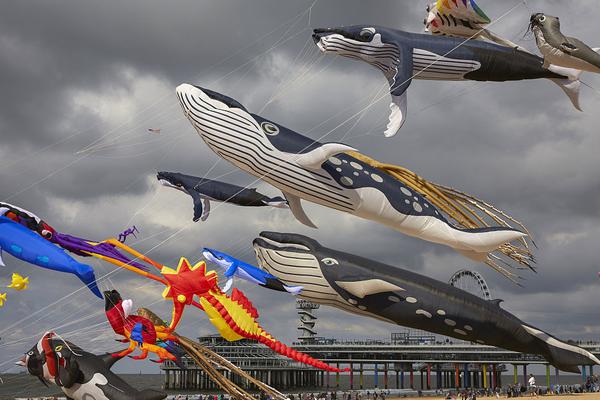 美國(guó)海軍大型戰(zhàn)艦介紹_領(lǐng)克10EM-P銷量快速突破2萬