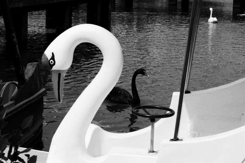 偽裝黑客代碼地球_當(dāng)前中日關(guān)系緊張未引起中國普通民眾共鳴？外交部回應(yīng)