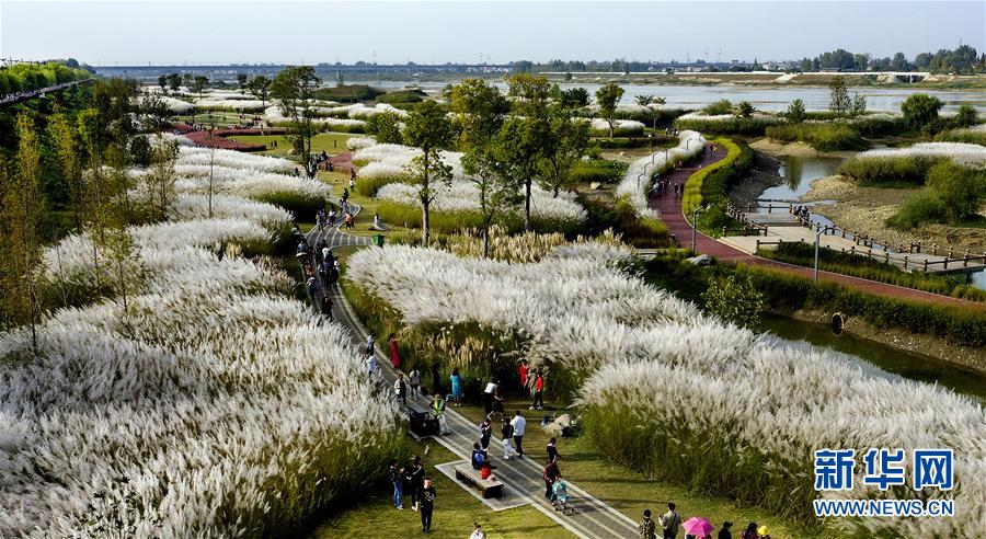 電信詐騙案有匯款賬號能破案么_官宣！直播吧成為天津榮鋼籃球俱樂部官方媒體合作伙伴 本周五，