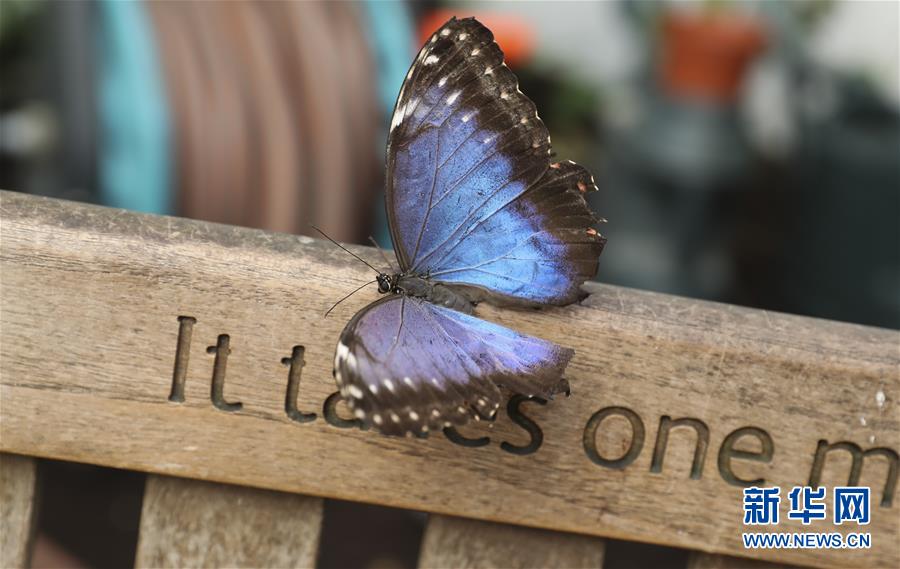 seo關(guān)鍵詞排名多少錢_39歲楊冪宣布喜訊，成為前夫“高攀不起”的存在