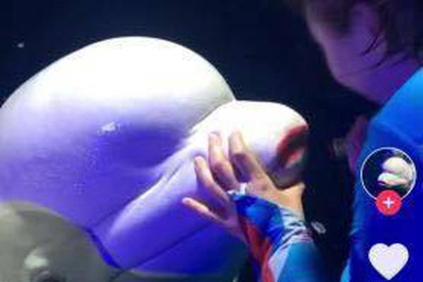 一路向北“飛”往京津冀丨五年路上你我他——四中全會精神大家談