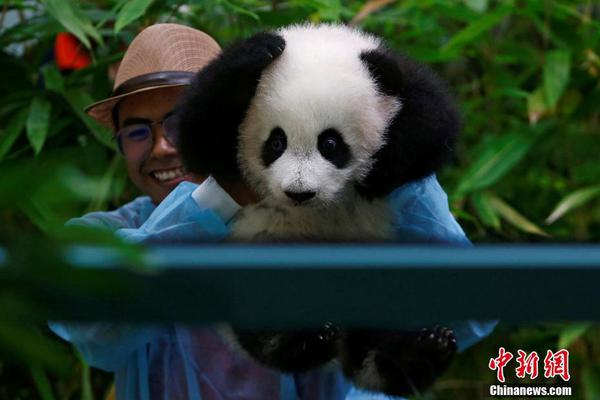 E句話| 這位姐也有新戀情了？