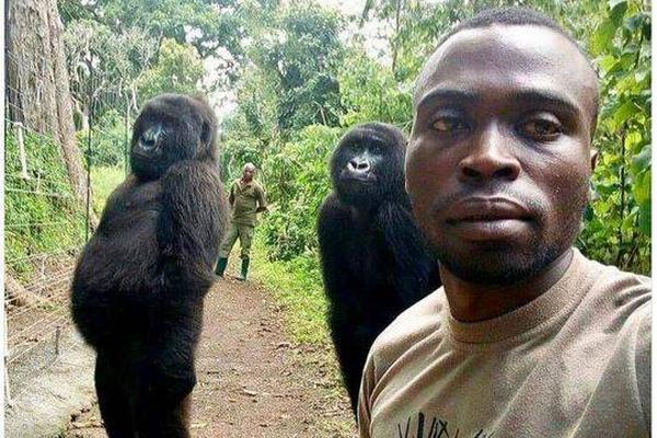 模擬黑客攻擊界面_讓“閑田”變“忙田” 農(nóng)村創(chuàng)業(yè)新力量讓冬日鄉(xiāng)村“火”起來