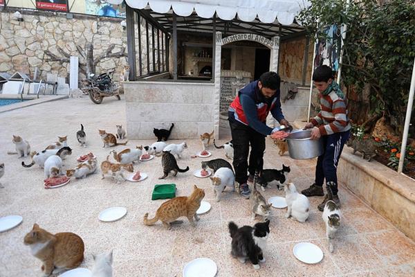 能ping通不能訪問_風(fēng)聲丨“最忙五人組”暴露了一大堆匪夷所思的漏洞