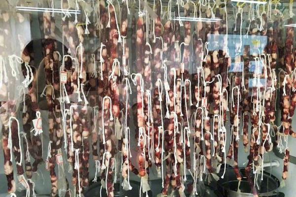 360查看網(wǎng)頁源代碼_從足球經(jīng)理到釣魚佬！5款高人氣體育游戲帶你燃爆賽場(chǎng)