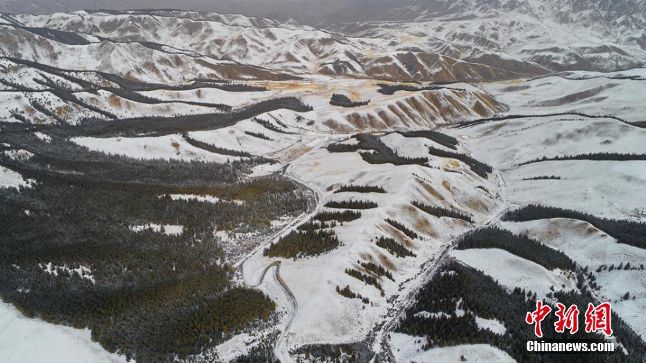 小程序前端和后端什么意思_119套清代外銷珍品匯聚申城，揭秘當年西方人眼中的“中國好物”清單