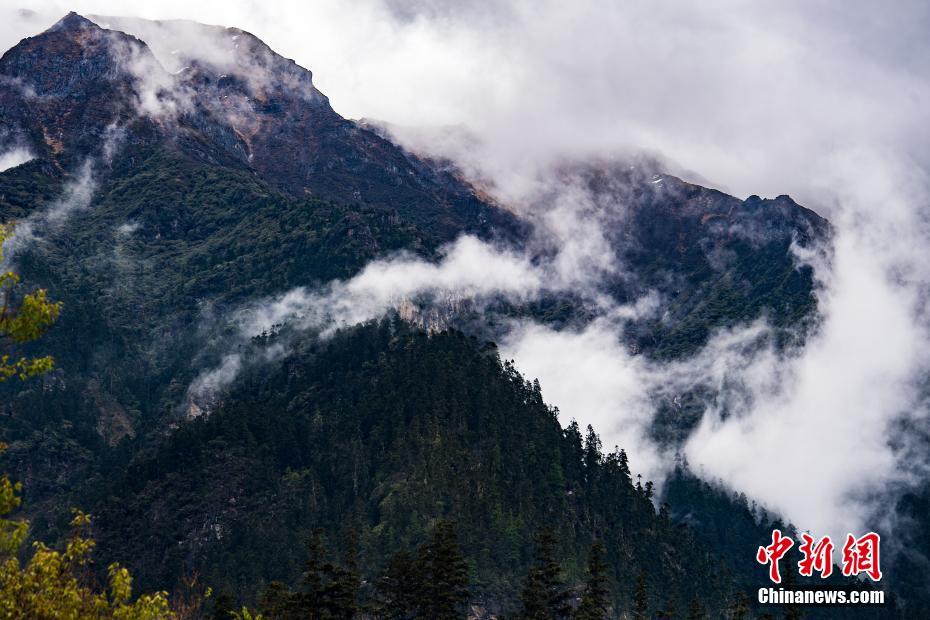 小號(hào)低價(jià)發(fā)卡網(wǎng)_印度唯一航母出事故起火 局座又預(yù)言對(duì)了