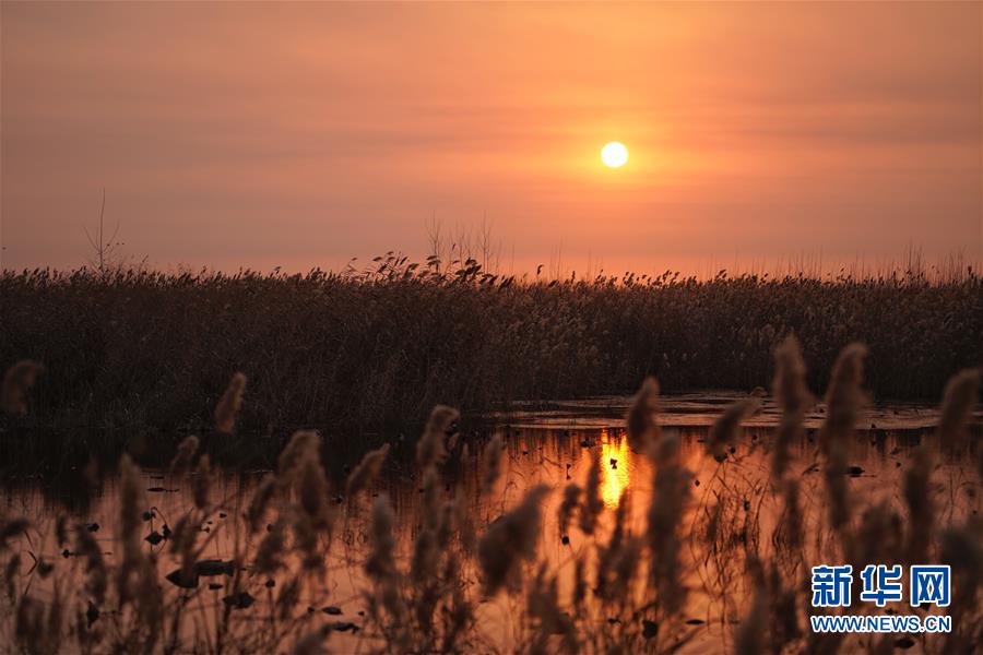 卸載openssl_華泰柏瑞首季8混基漲不足10% 兩投資總監(jiān)業(yè)績(jī)墊底