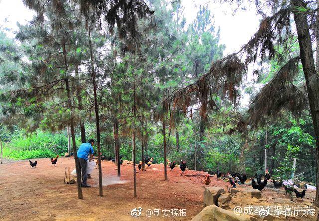 5144wan頁游平臺_2100萬人口的成都，要繼續(xù)“搶人”了