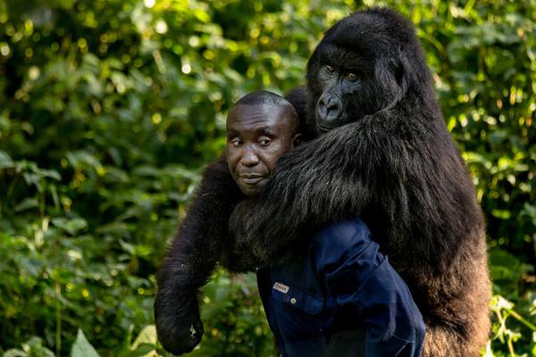 風(fēng)聲丨“最忙五人組”暴露了一大堆匪夷所思的漏洞
