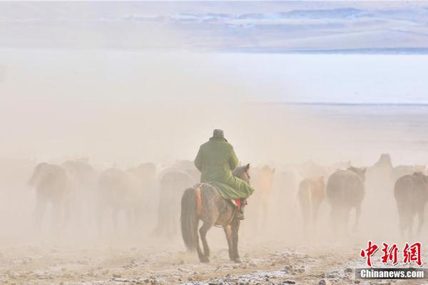 野外釣魚(yú)網(wǎng)站源代碼_11位工作室首屆數(shù)字展享重磅揭曉新內(nèi)容