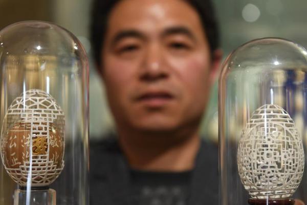 常識分為幾類_打工人夢想中的生活，寵物已經提前過上了